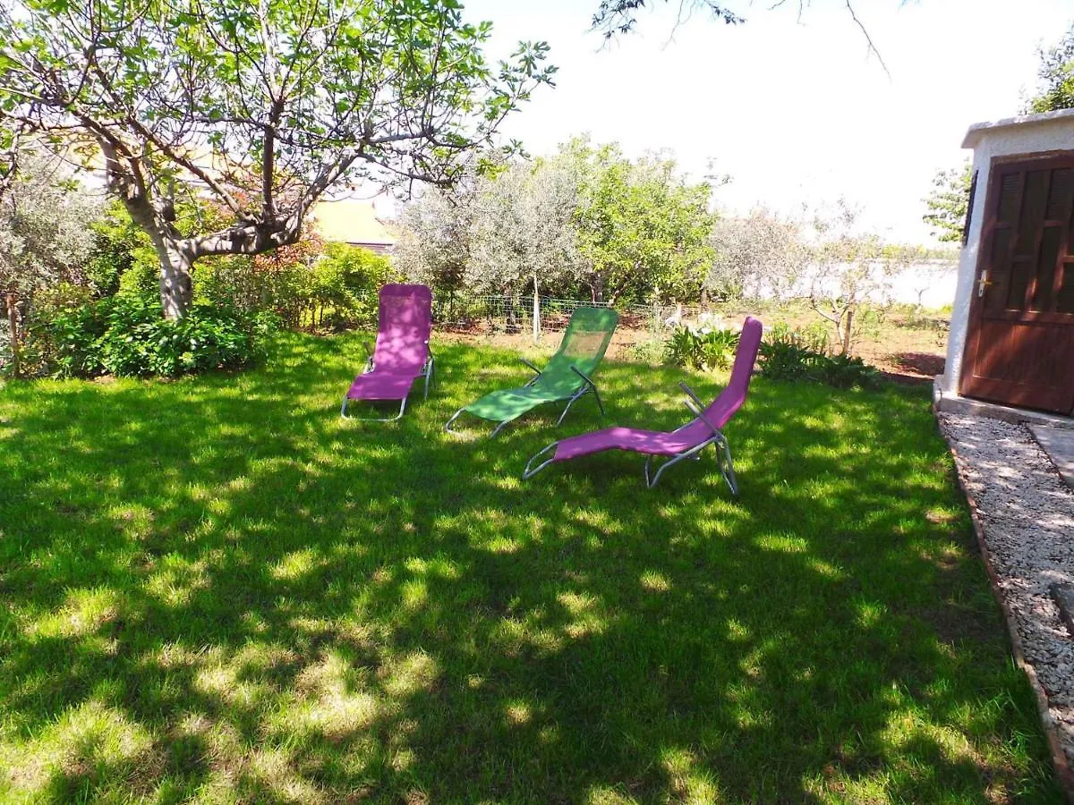 Apartments Pjescana Uvala/Istrien 17335